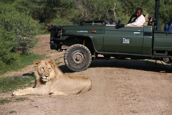 Tau Game Lodge Madikwe Game Reserve Dış mekan fotoğraf