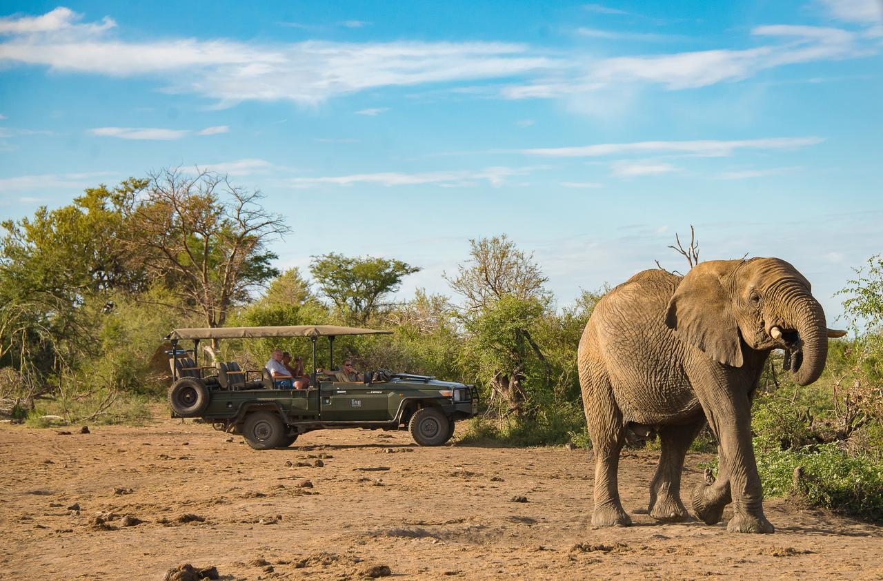 Tau Game Lodge Madikwe Game Reserve Dış mekan fotoğraf